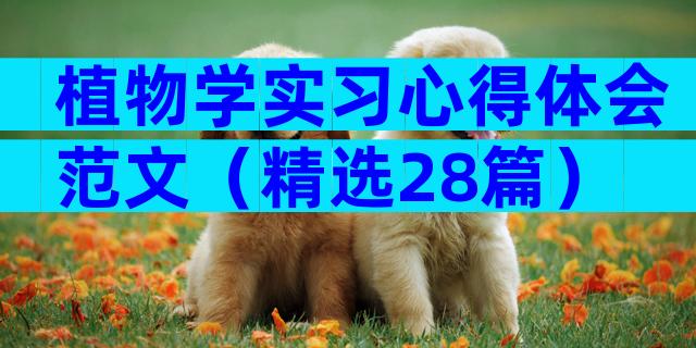 植物学实习心得体会范文（精选28篇）