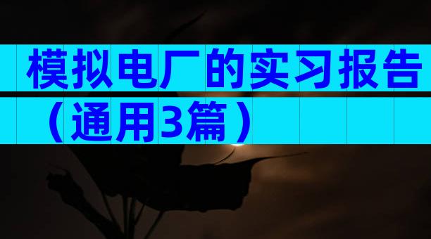 模拟电厂的实习报告（通用3篇）