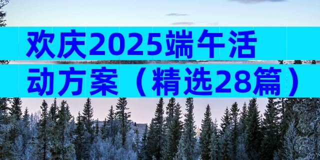 欢庆2025端午活动方案（精选28篇）