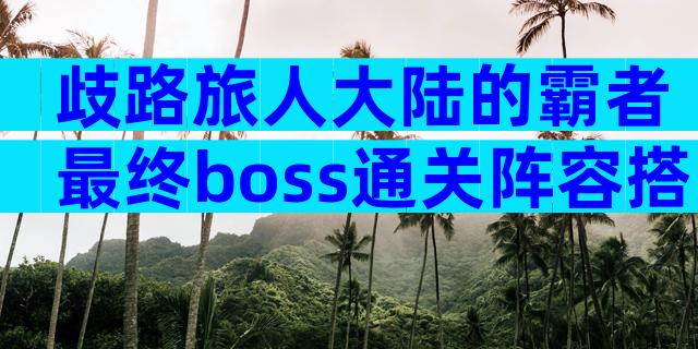 歧路旅人大陆的霸者最终boss通关阵容搭配