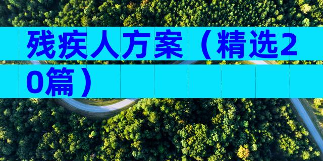 残疾人方案（精选20篇）