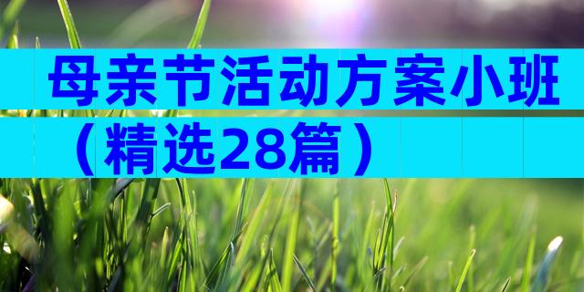 母亲节活动方案小班（精选28篇）