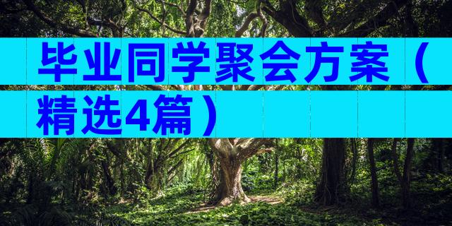 毕业同学聚会方案（精选4篇）