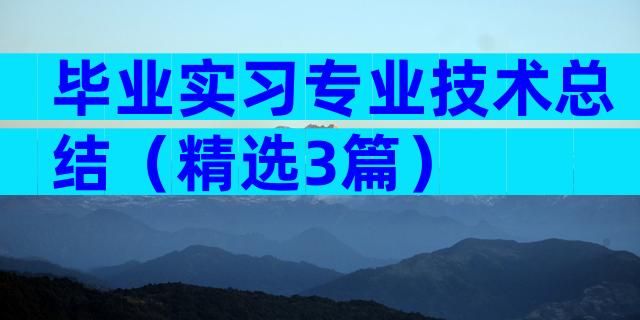 毕业实习专业技术总结（精选3篇）