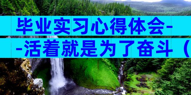 毕业实习心得体会--活着就是为了奋斗（通用33篇）