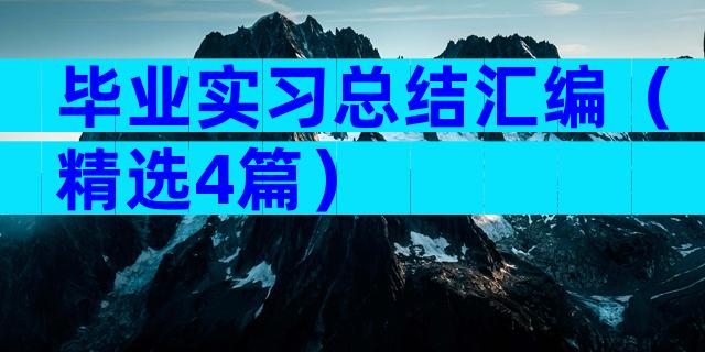 毕业实习总结汇编（精选4篇）