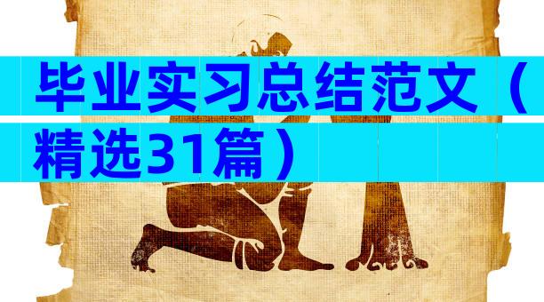 毕业实习总结范文（精选31篇）