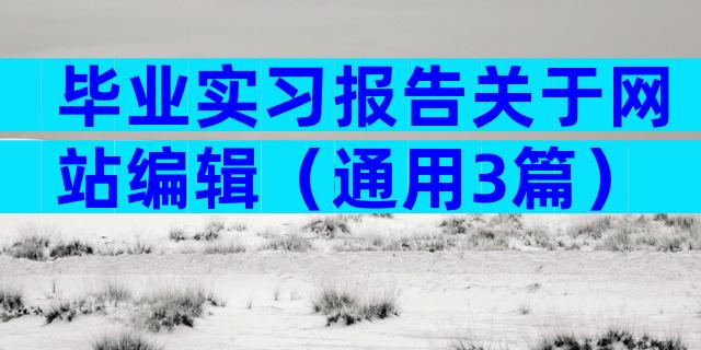 毕业实习报告关于网站编辑（通用3篇）