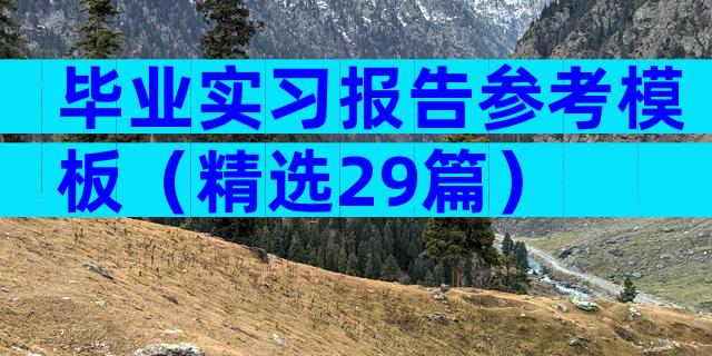 毕业实习报告参考模板（精选29篇）
