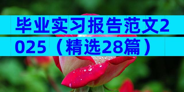 毕业实习报告范文2025（精选28篇）