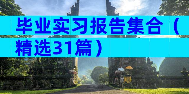 毕业实习报告集合（精选31篇）