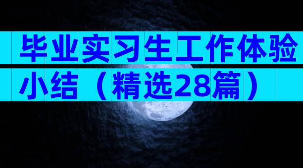 毕业实习生工作体验小结（精选28篇）