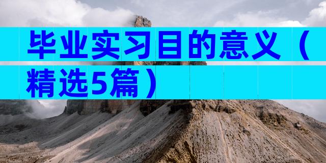 毕业实习目的意义（精选5篇）