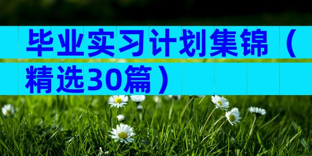 毕业实习计划集锦（精选30篇）
