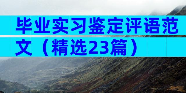 毕业实习鉴定评语范文（精选23篇）