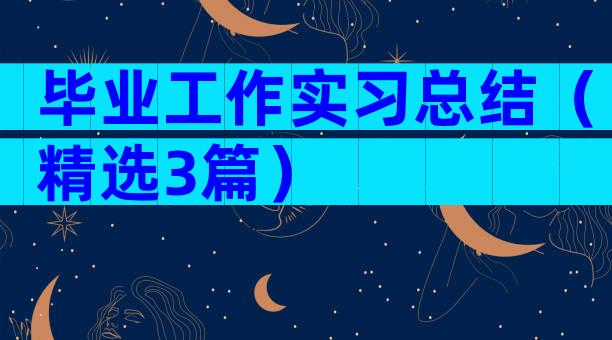 毕业工作实习总结（精选3篇）