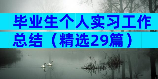 毕业生个人实习工作总结（精选29篇）