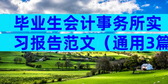 毕业生会计事务所实习报告范文（通用3篇）