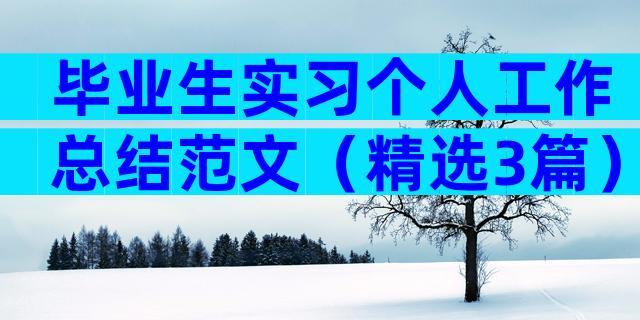 毕业生实习个人工作总结范文（精选3篇）