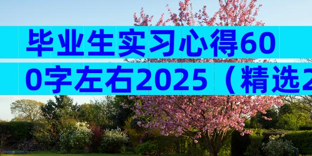 毕业生实习心得600字左右2025（精选28篇）