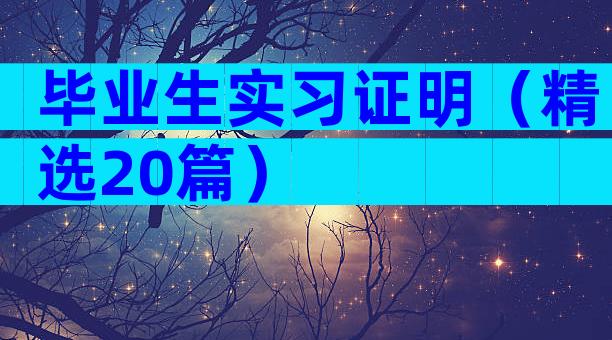 毕业生实习证明（精选20篇）