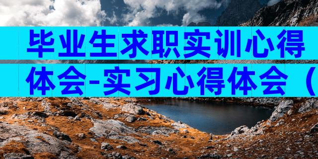 毕业生求职实训心得体会-实习心得体会（精选33篇）