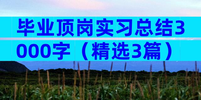 毕业顶岗实习总结3000字（精选3篇）