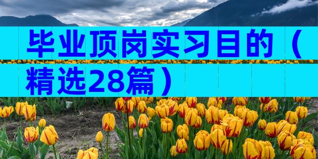 毕业顶岗实习目的（精选28篇）