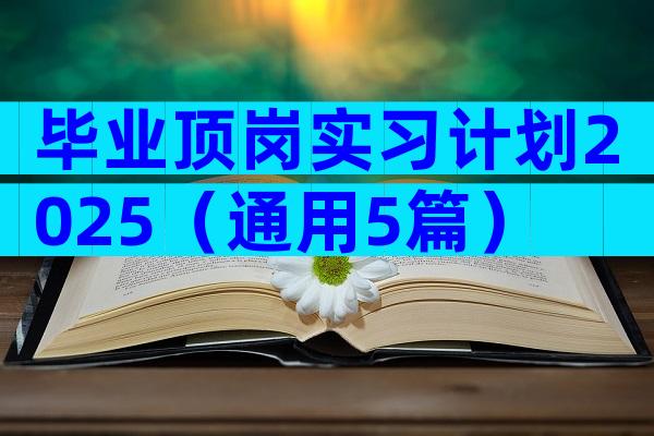 毕业顶岗实习计划2025（通用5篇）