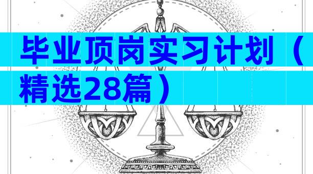 毕业顶岗实习计划（精选28篇）