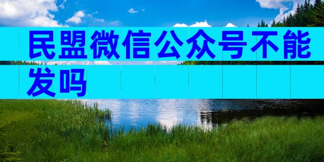 民盟微信公众号不能发吗