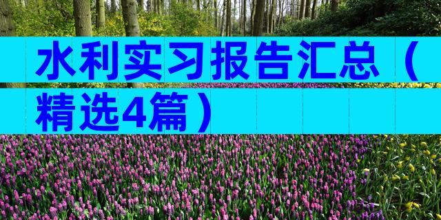 水利实习报告汇总（精选4篇）