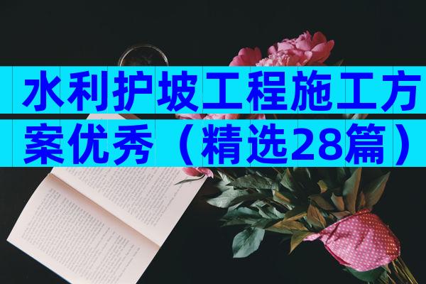 水利护坡工程施工方案优秀（精选28篇）