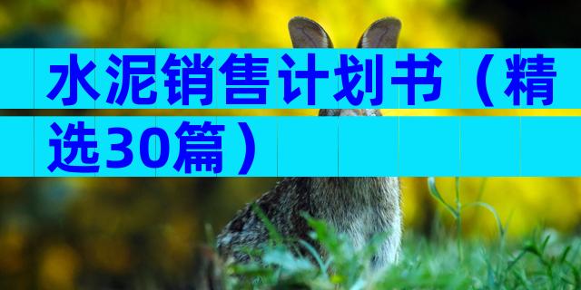 水泥销售计划书（精选30篇）