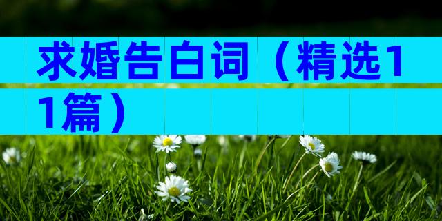 求婚告白词（精选11篇）