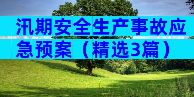 汛期安全生产事故应急预案（精选3篇）