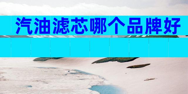 汽油滤芯哪个品牌好