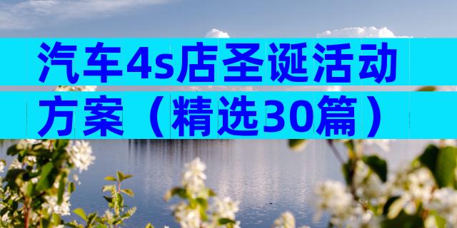 汽车4s店圣诞活动方案（精选30篇）