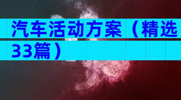 汽车活动方案（精选33篇）