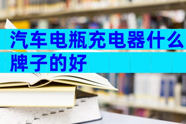 汽车电瓶充电器什么牌子的好