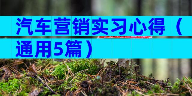 汽车营销实习心得（通用5篇）