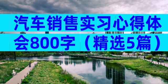 汽车销售实习心得体会800字（精选5篇）