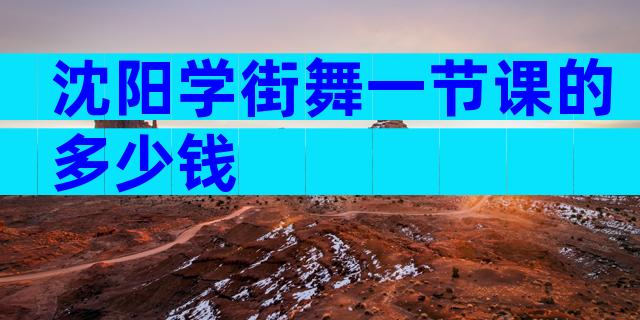 沈阳学街舞一节课的多少钱