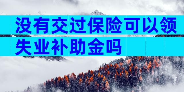 没有交过保险可以领失业补助金吗