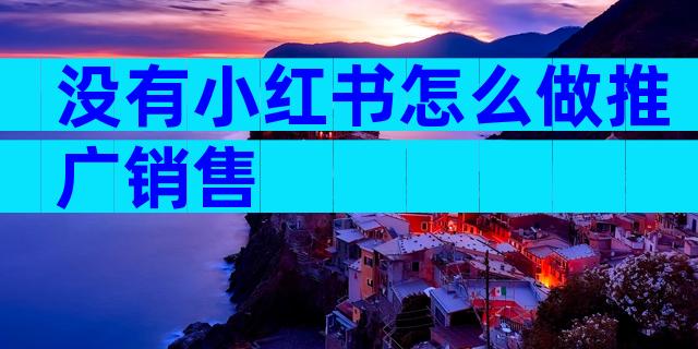 没有小红书怎么做推广销售