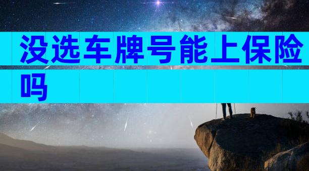 没选车牌号能上保险吗