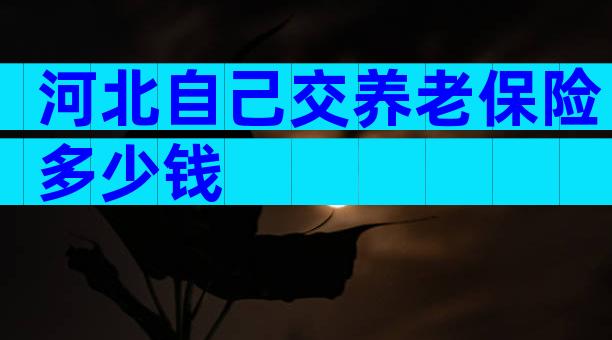 河北自己交养老保险多少钱