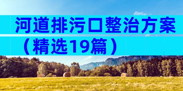 河道排污口整治方案（精选19篇）