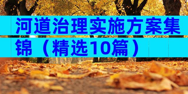 河道治理实施方案集锦（精选10篇）