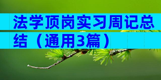法学顶岗实习周记总结（通用3篇）